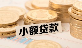 东莞33空放-东莞33个人短借-东莞33身份证小额贷款