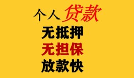 东莞33信用贷款办理-东莞33身份证贷款分期-东莞33小额私人借贷
