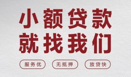 东莞33小额短借-东莞33短借私借空放-东莞33抵押身份证贷款
