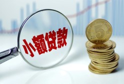东莞33哪里可以小额贷款-东莞33哪里有民间借贷-东莞33民间短期私借借款