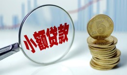 东莞33哪里可以小额贷款-东莞33哪里有民间借贷-东莞33民间短期私借借款