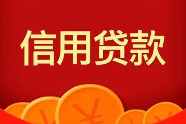 东莞33身份证贷款电话
